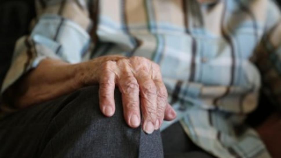 Căminele groazei, primele măsuri – Șefii IPJ Ilfov și ai Poliției Voluntari, DEMIȘI (SURSE)