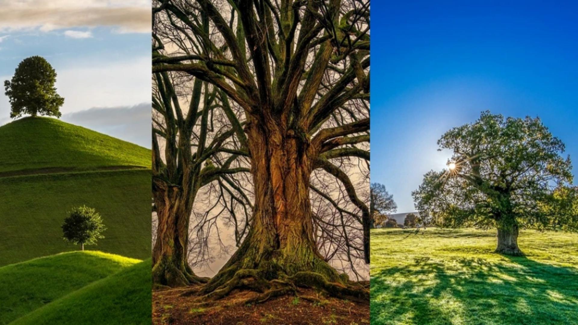 TEST despre viitorul pe care îl meriți – Imaginea care spune totul despre trecutul tău