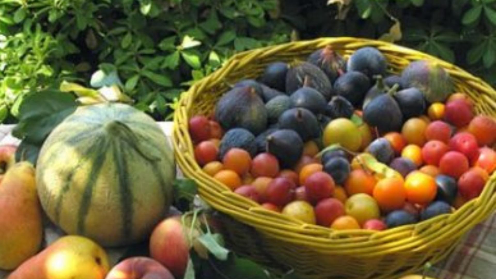 Dieta de toamnă care te ajută să dai jos rapid kilogramele acumulate în concediul din vară