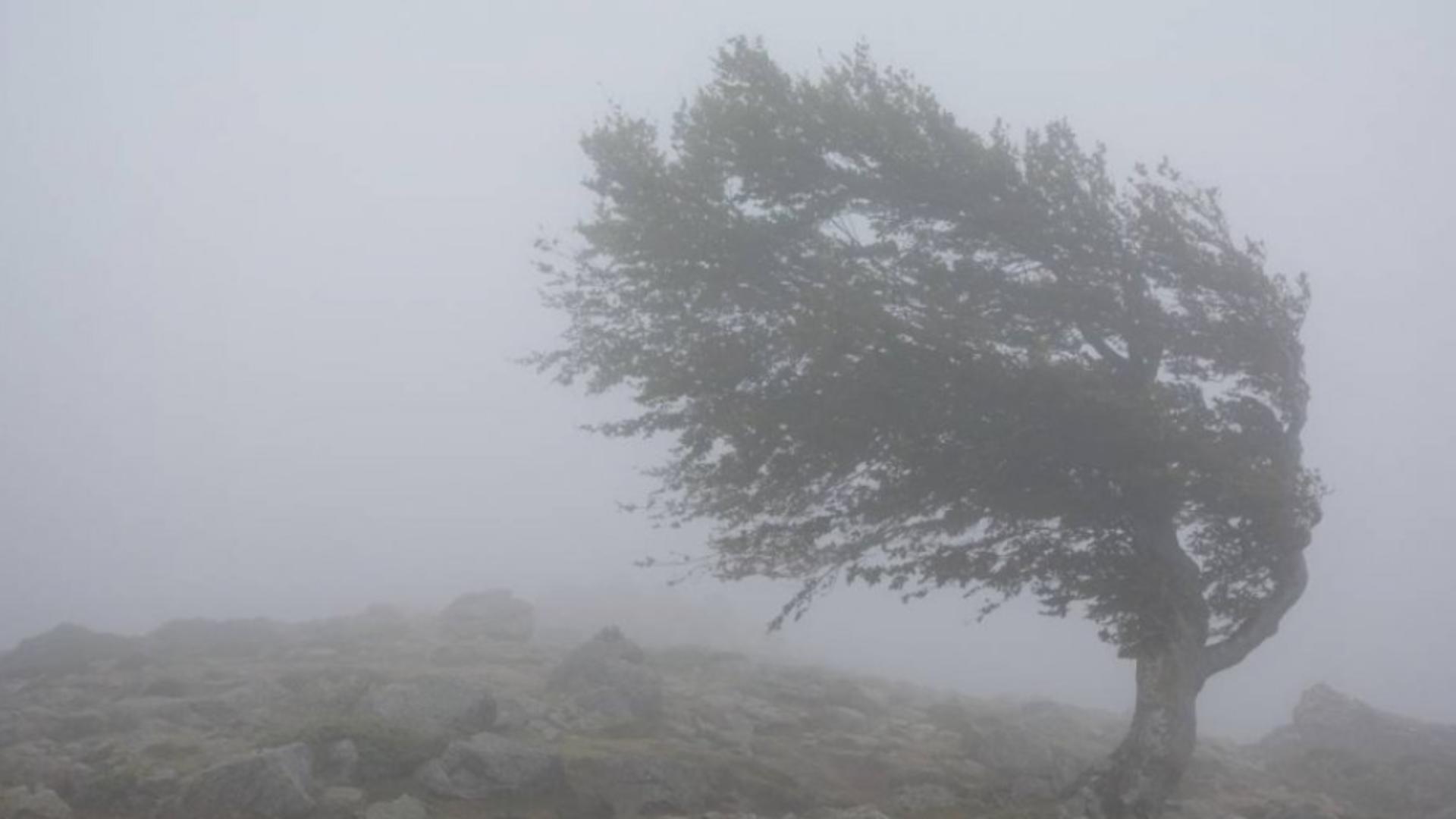 Alertă meteo: 8 județe, afectate de Codul galben până duminică dimineață – ANM, anunț despre zonele vizate de CEAȚĂ și vânt puternic
