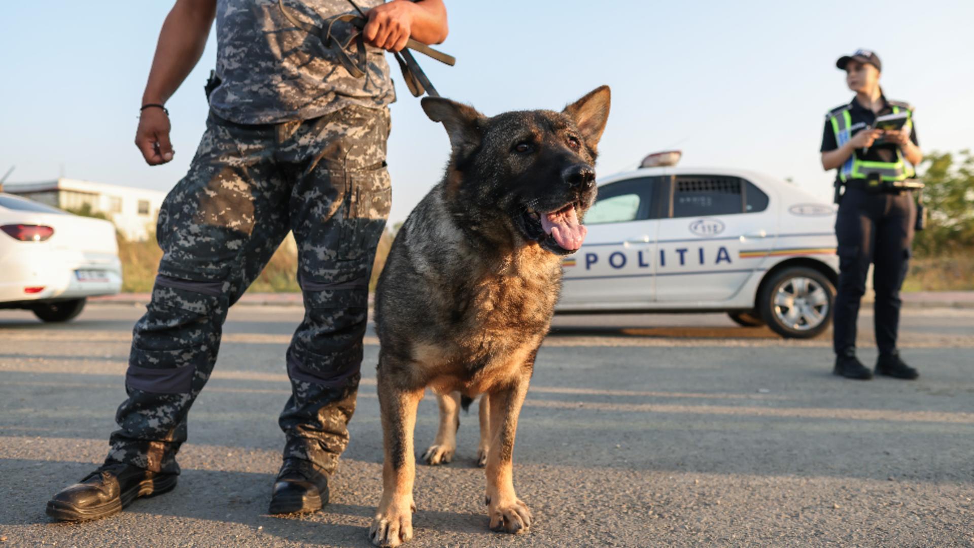 Amenzi mai mari pentru șoferi, de la 1 ianuarie 2024. Reguli dure, sancțiuni uriașe