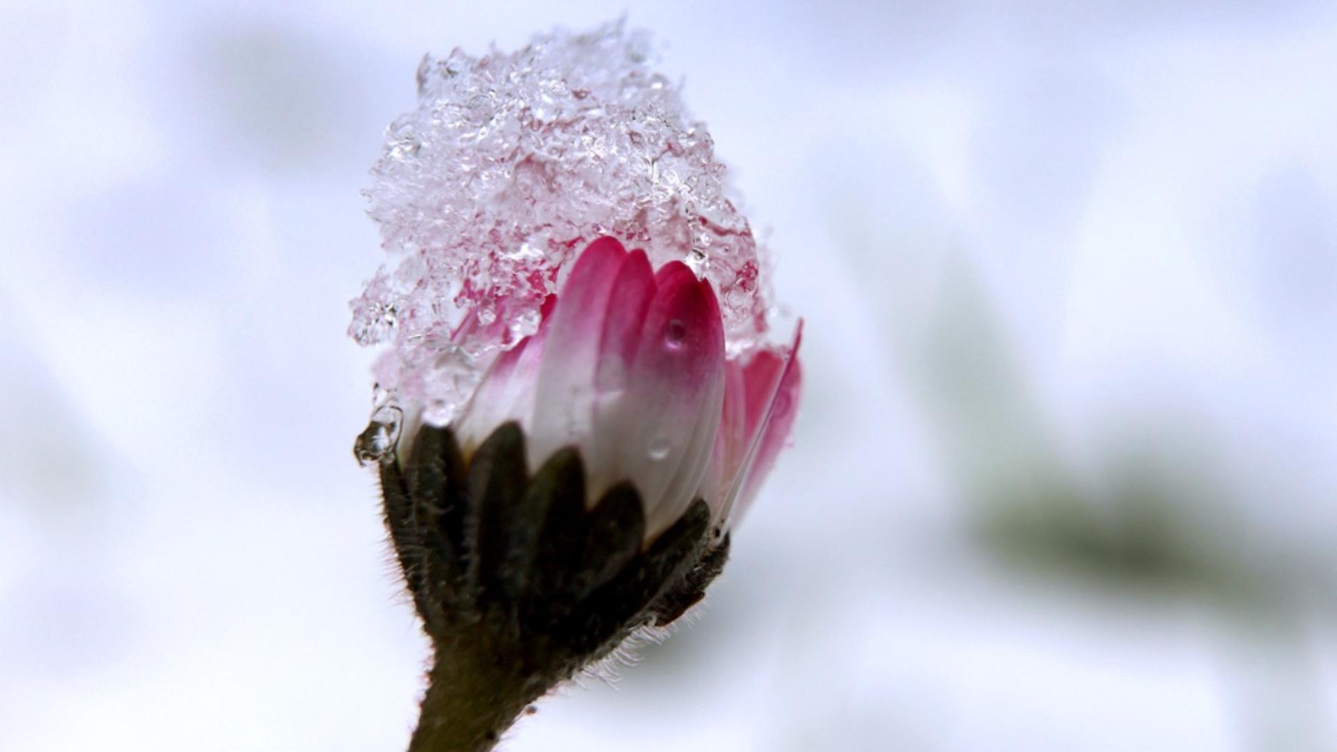 Revin ninsorile în luna martie, în România. Prognoza AccuWeather