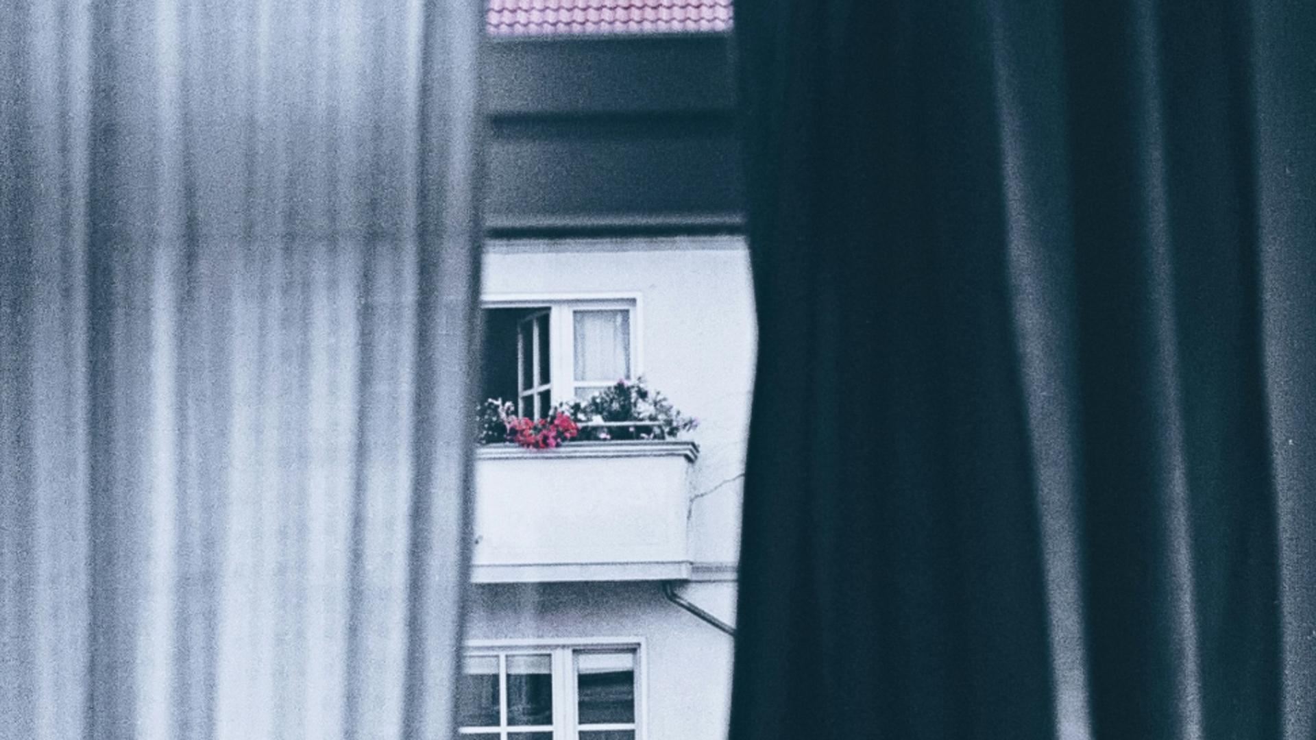 Le iubești și ai vrea să îți zâmbească zi de zi de la balcon? Puțin probabil: se vor ofili în câteva zile! Ce plante nu trebuie să ții în balcon