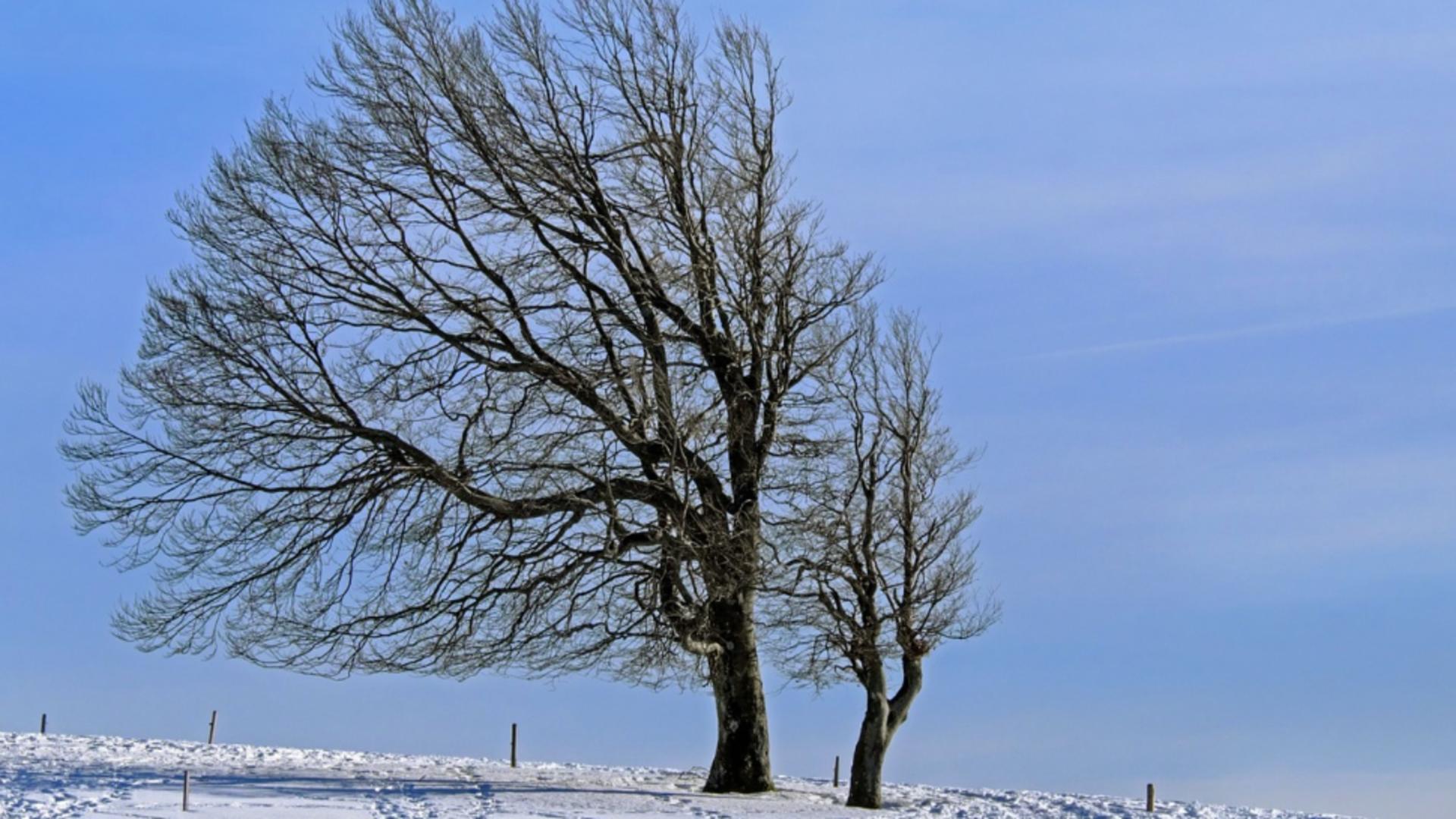 Un județ se află sub avertizare cod galben de vânt până duminică dimineaţă. Intensificări ale vântului care vor depăşi 55… 60 km/h