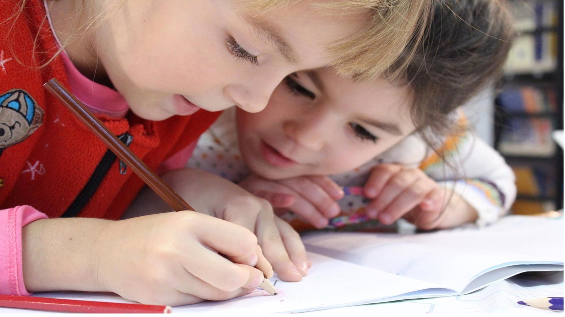 Părinţii din Bihor care îşi educau copiii acasă, obligați să-i reînscrie la scoală. Decizia este definitivă