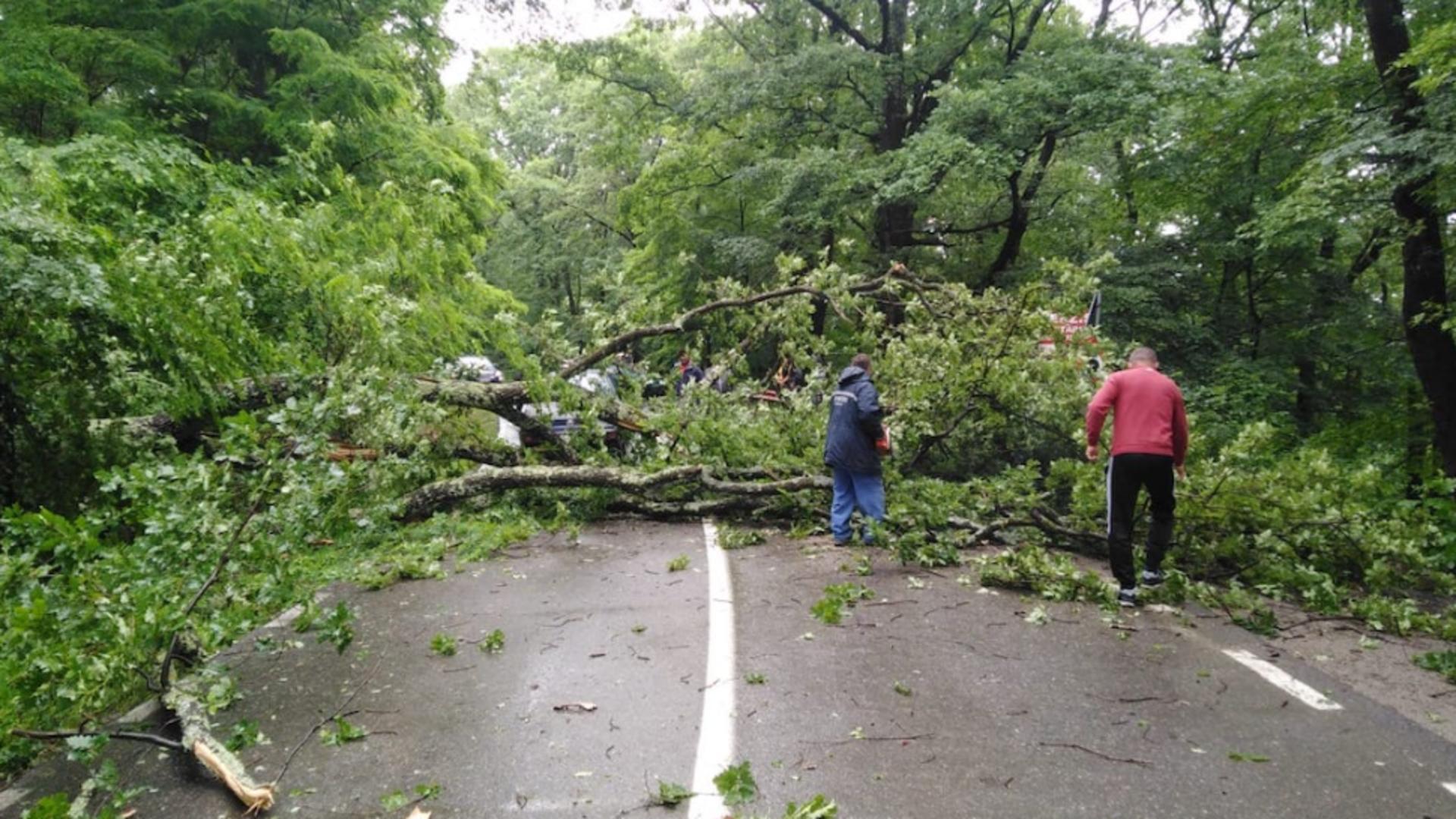 Vremea rea face ravagii, în țară. Intervenții ale IGSU în 32 localităţi din 9 judeţe; un tren de călători e blocat pe şine