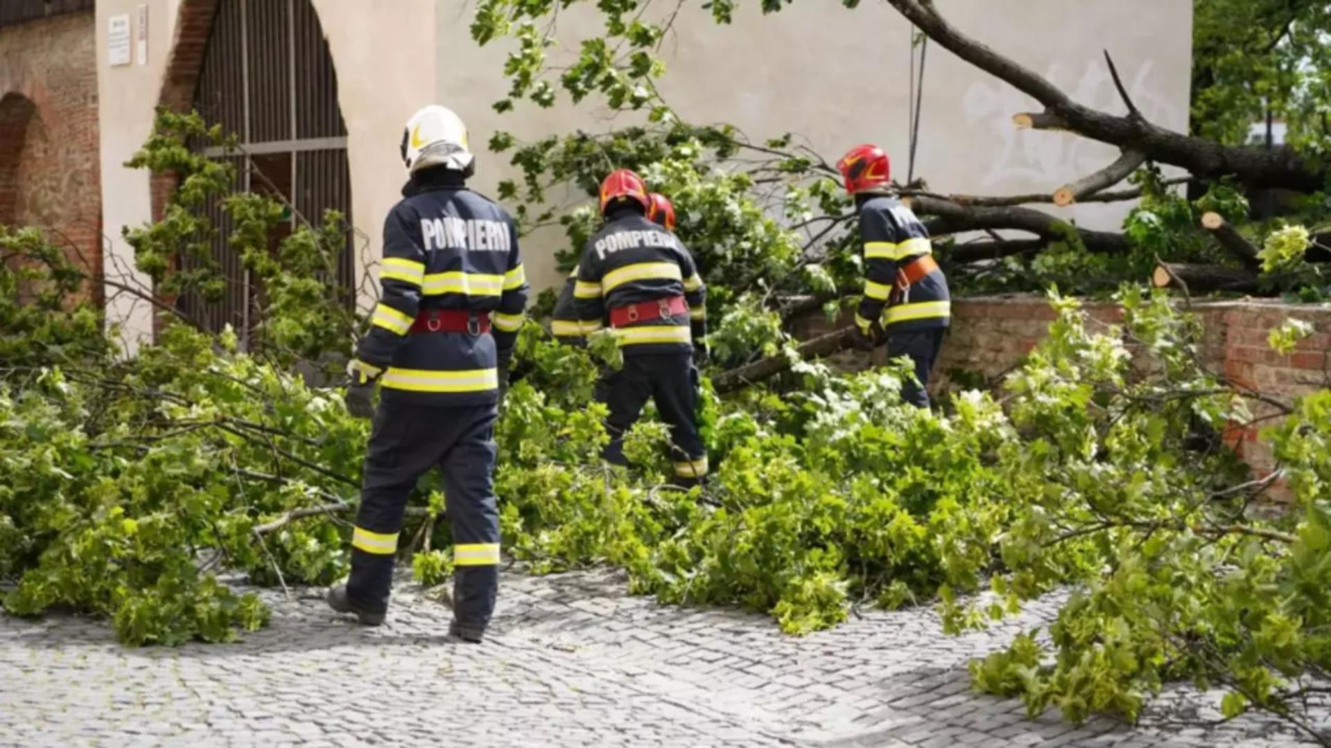 Situație de criză, la un spital din Hunedoara. Un copac doborât de furtună a rupt firele de electricitate și a lăsat unitatea medicală fără energie
