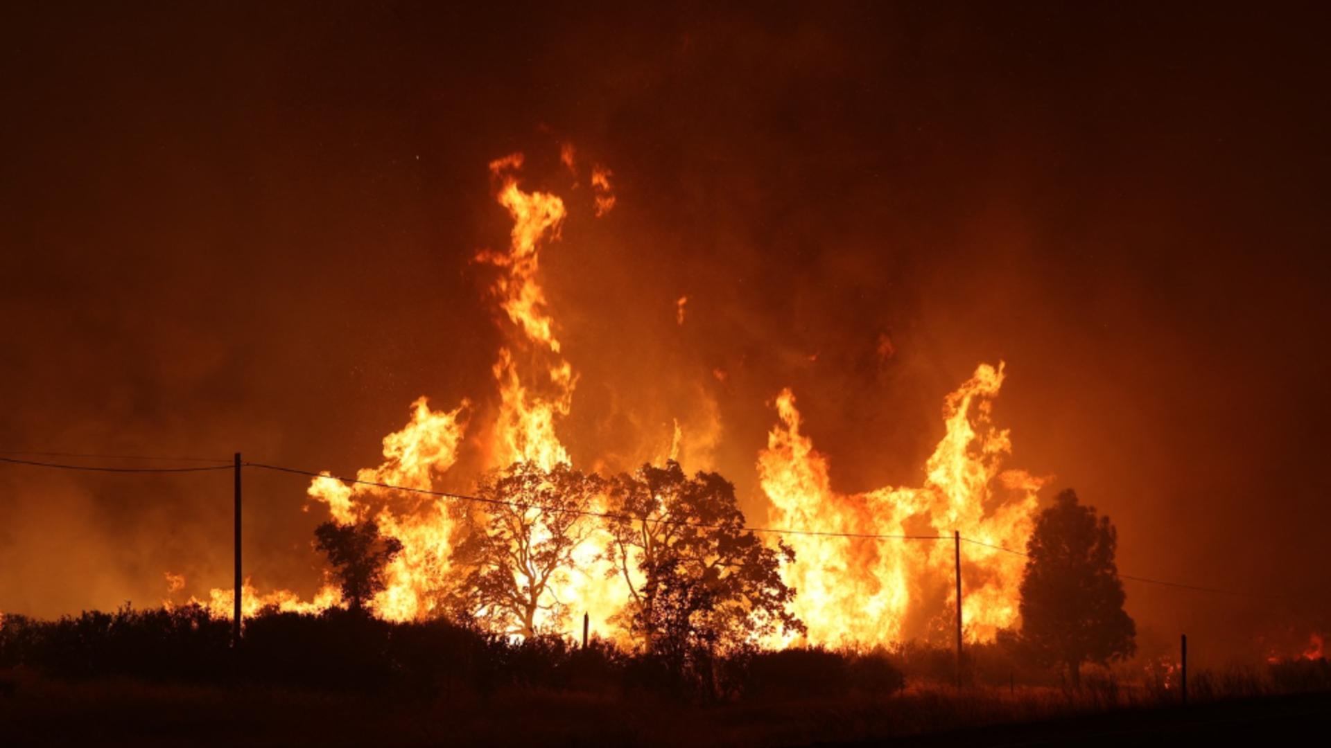 Incendiu devastator într-o localitate din Giurgiu. Ard 42 de hectare de pădure VIDEO