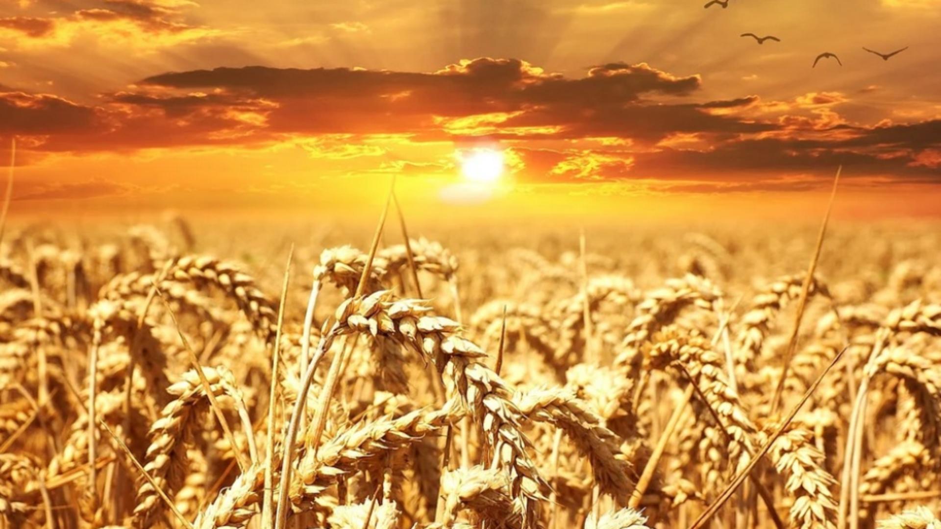 Revine arșița: ANM a emis cod galben de caniculă. Temperaturile sar iar la 36 de grade, nopțile redevin tropicale – HARTA 