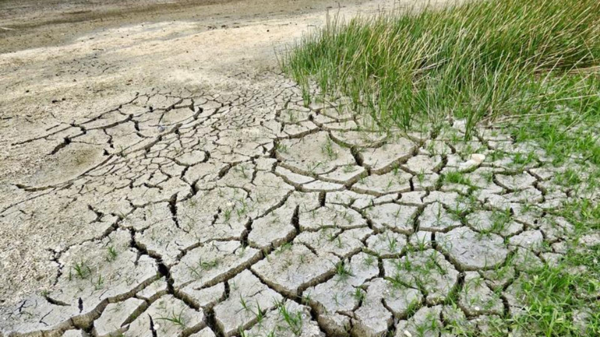 Secetă în România. Stațiunea care a rămas fără apă potabilă