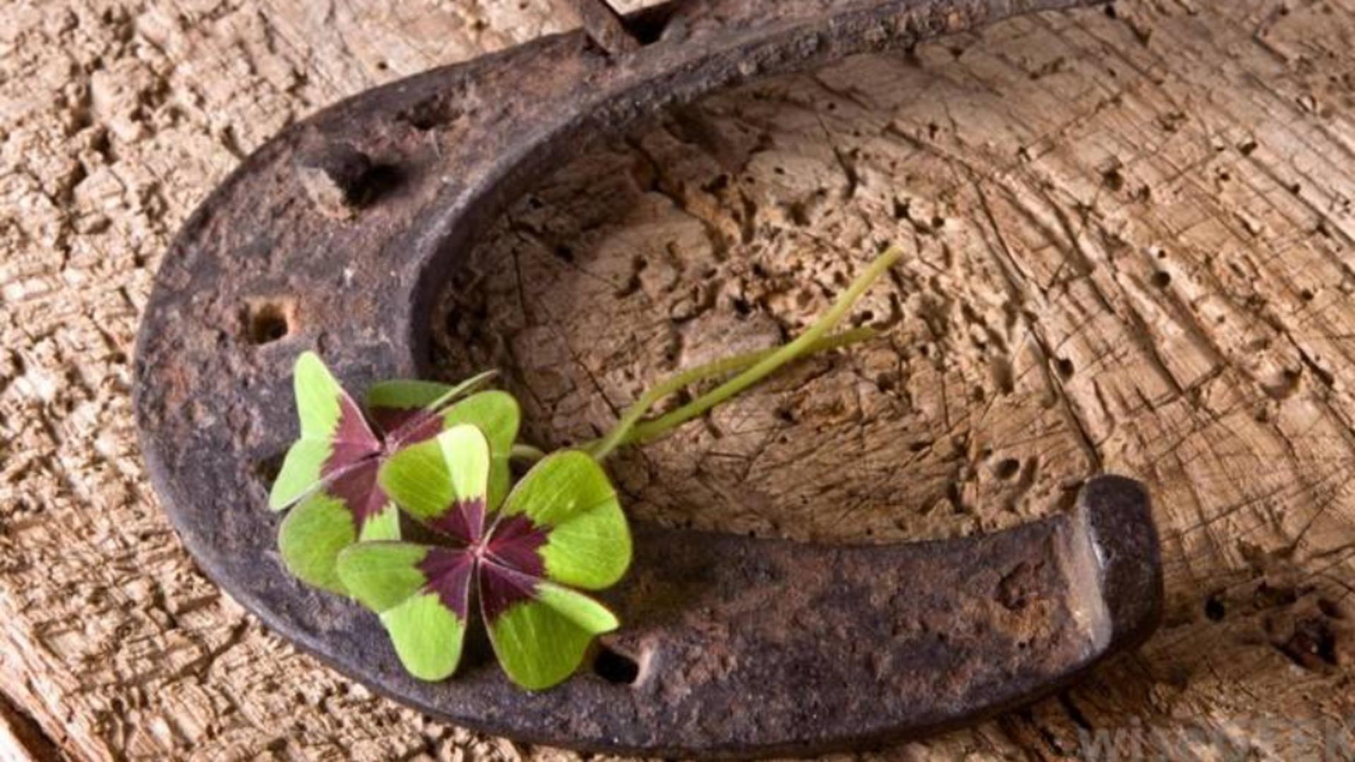 Zodia norocoasă a lunii septembrie 2024. El este nativul care se afirmă pe toate planurile