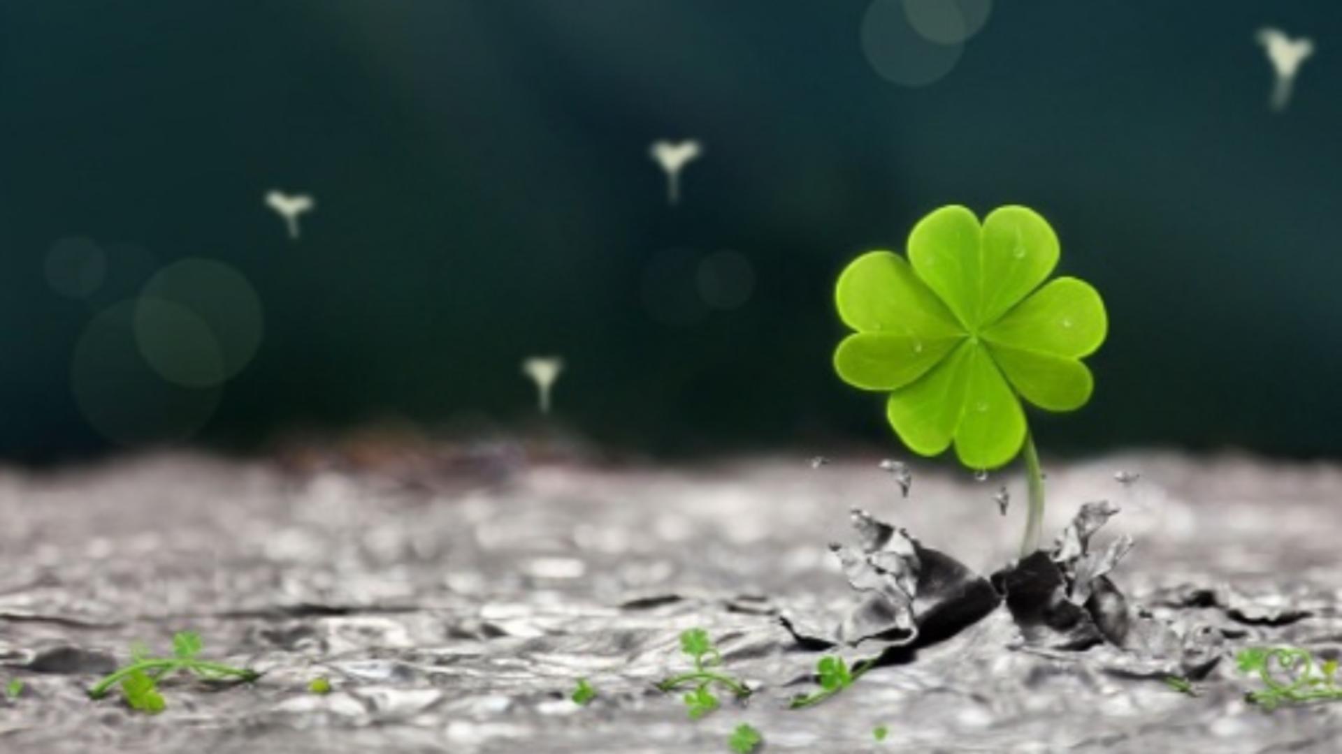 Zodii norocoase în ziua de 31 august 2024. Nativii care se pot bucura de tot ce e mai bun