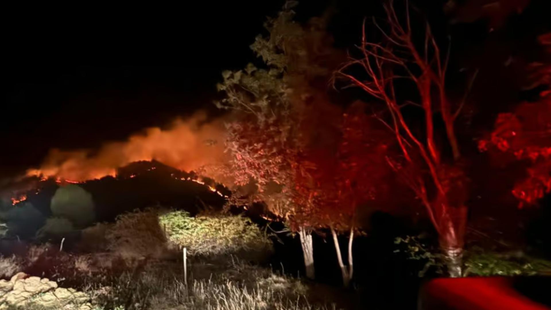 Incendiu URIAȘ de pădure în judeșul Alba. Ard 10 hectare de pădure de pin – FOTO