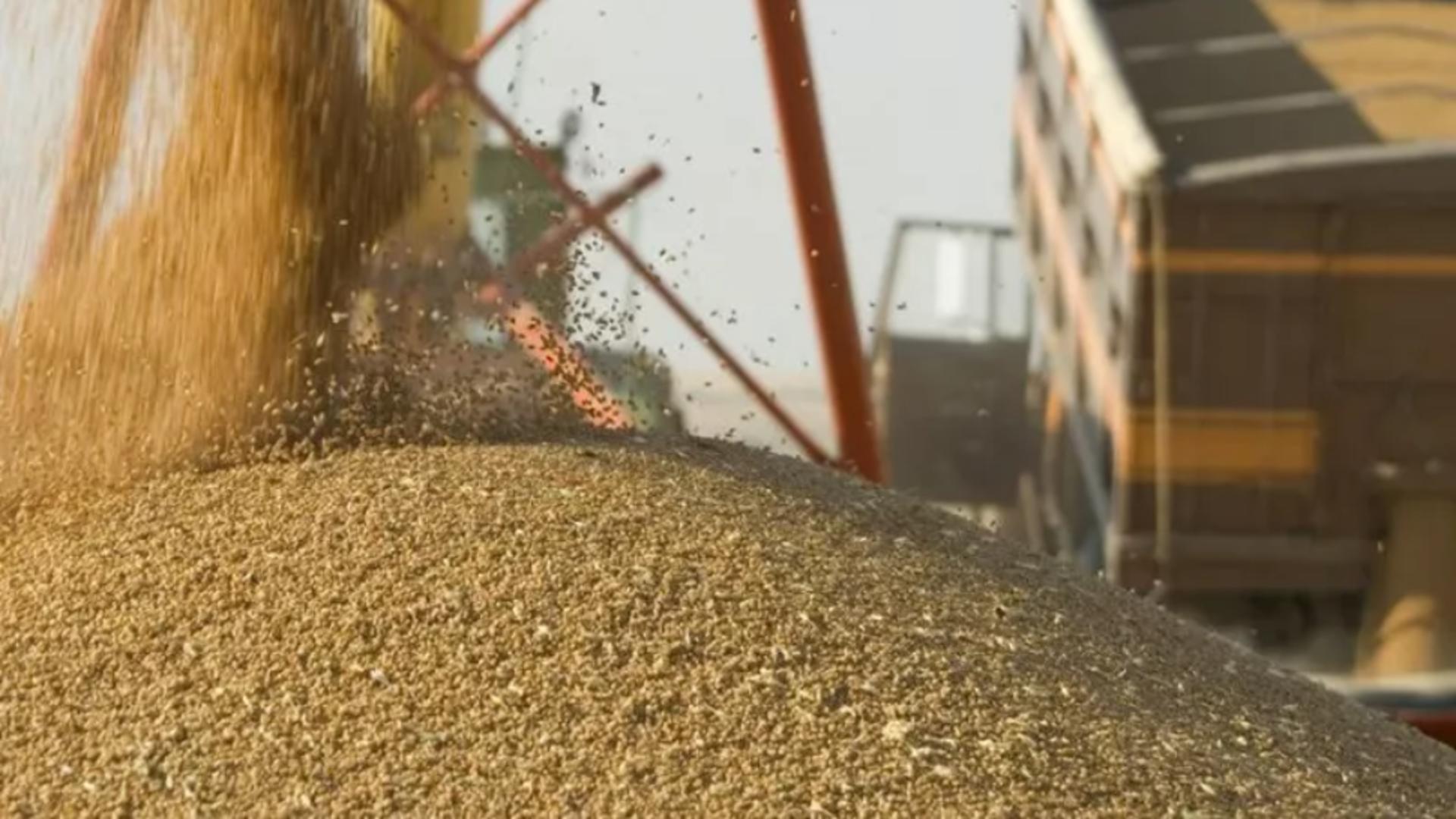 Liderii politici cer Comisiei Europene interzicerea importurilor agricole din Ucraina. UE, plan împotriva cerealelor care i-au nenorocit pe fermierii români