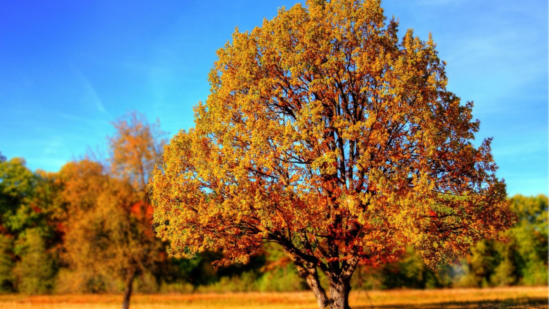 Prognoza meteo pentru septembrie: Temperaturi neobișnuit de ridicate și ploi deficitare. Când se simte toamna cu adevărat