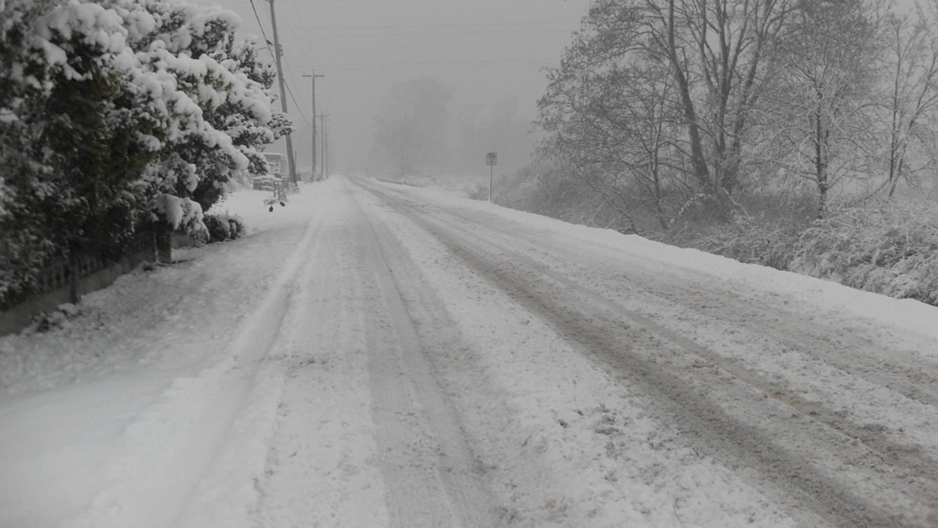 Viscol și frig intens: 17 zile de iarnă autentică în România în ianuarie 2025