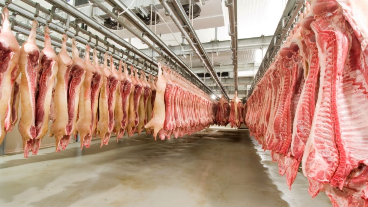 Alertă alimentară în România: Aproape două tone de carne de porc posibil infectată cu pestă porcină africană, retrase de la vânzare