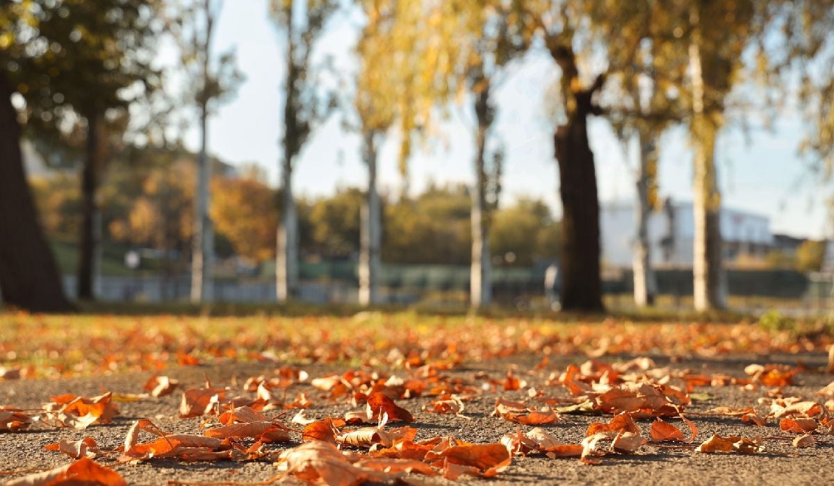 Prognoza meteo pentru 6 noiembrie: Cer închis în sud și est, ploi slabe și temperaturi blânde