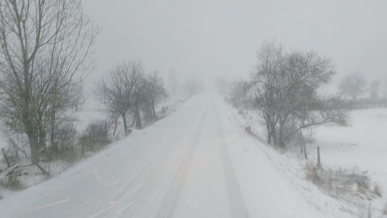 Alertă meteo: Cod Portocaliu de viscol în mai multe județe. Ce urmează în februarie